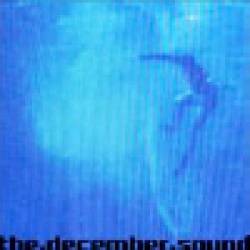 The December Sound : Surfer The December Sound : Surfer